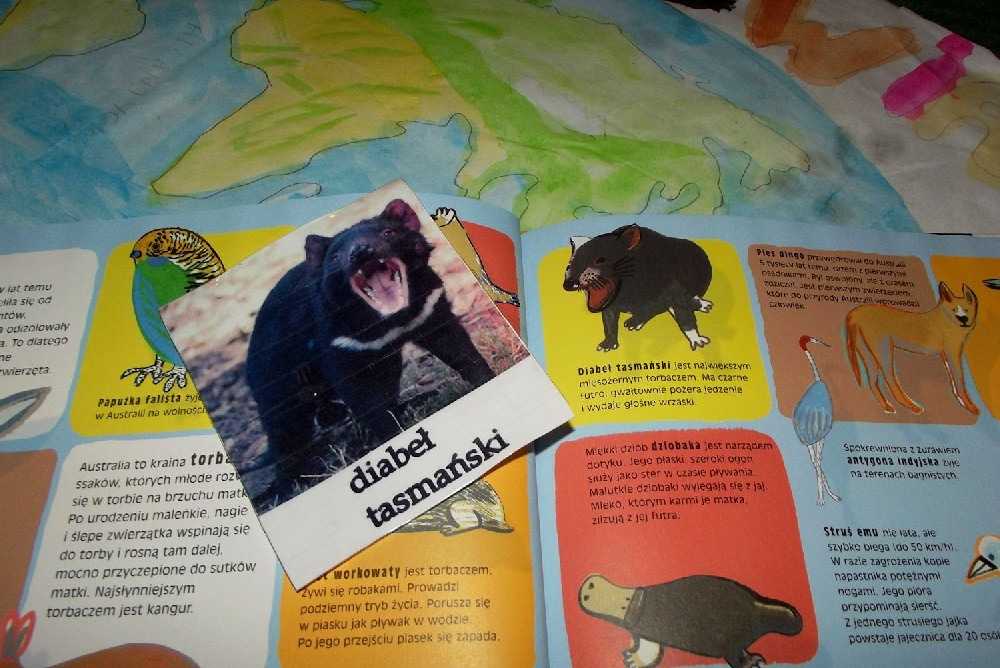 bajkowy projekt blogowy australia