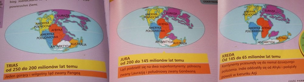 prehistoria dinozaury dziecko na warsztat