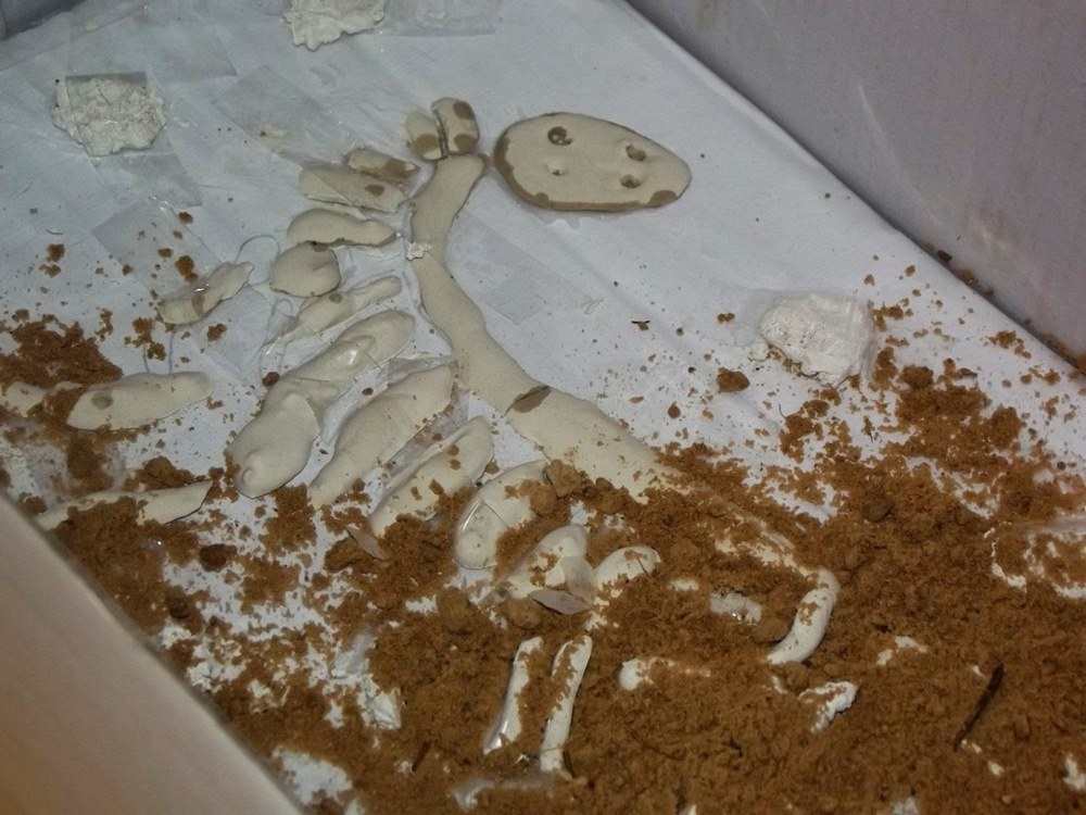 prehistoria dinozaury dziecko na warsztat