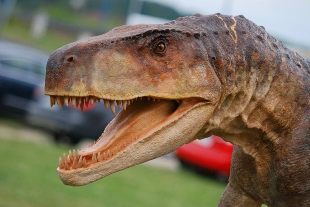 prehistoria dinozaury dziecko na warsztat