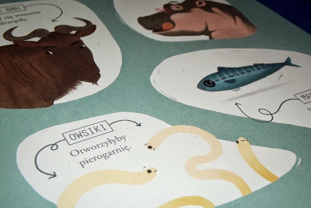 co by było gbyby książka dla dzieci