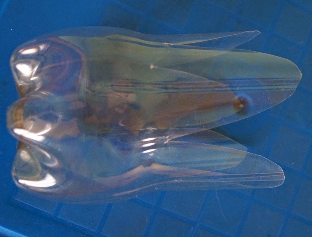 eko prezenty na dzień matki