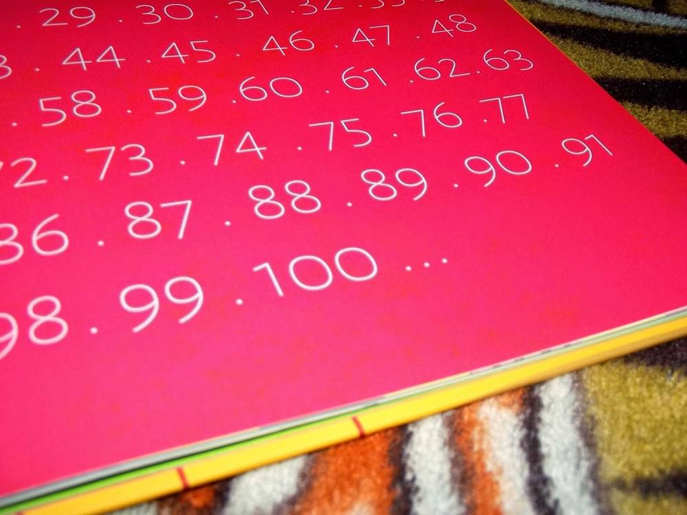 książka liczenie jest fajne