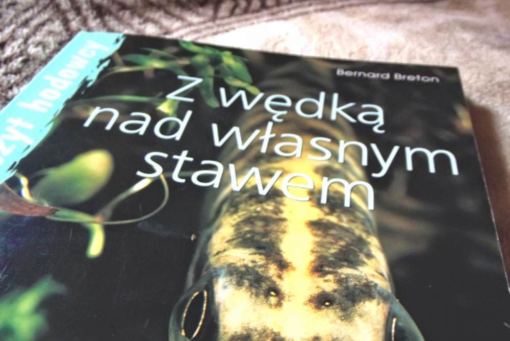wędkarstwo wędka