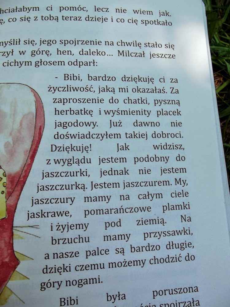 przyjaciele żyrafy0