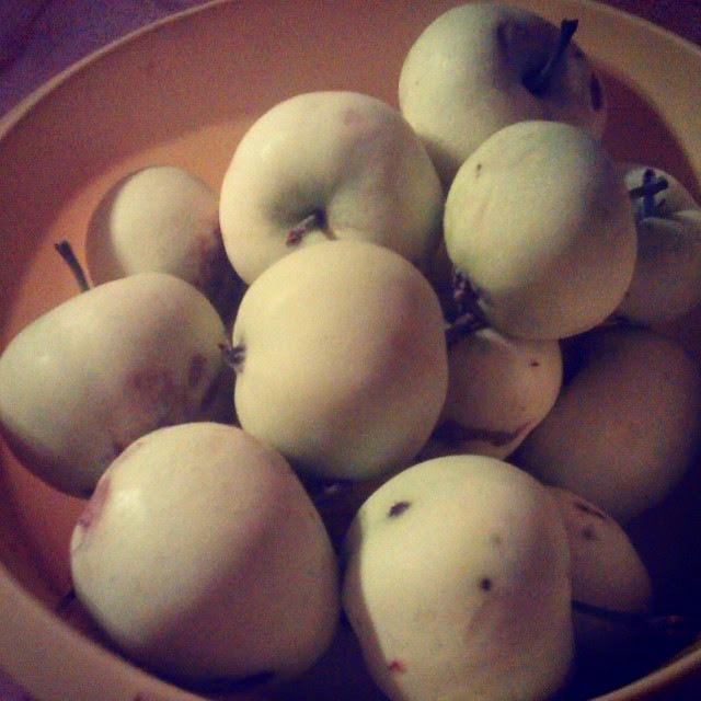 domowy kompot jabłkowy