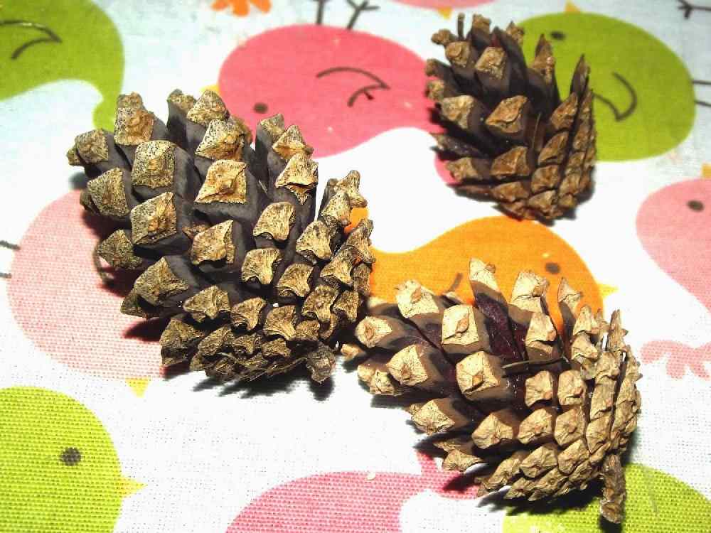 jaka będzie pogoda szyszka ci powie