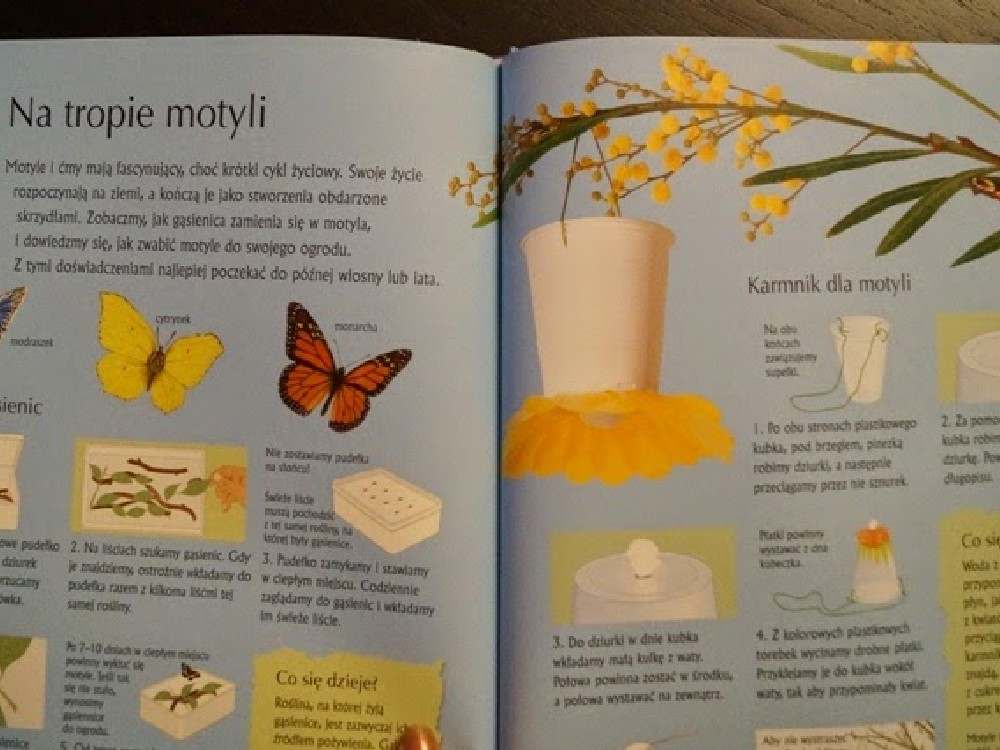 100 eksperymentów naukowych