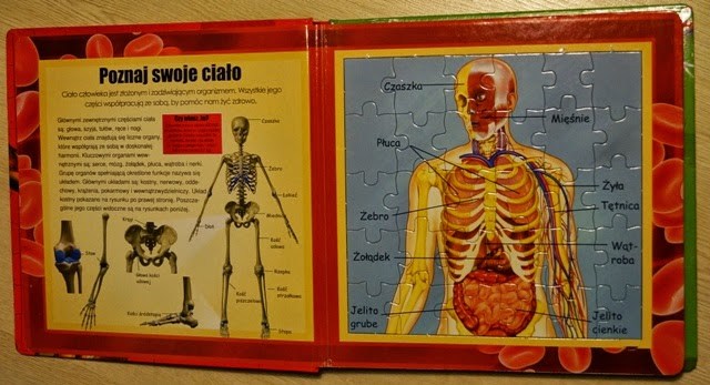 anatomia dla dziecia