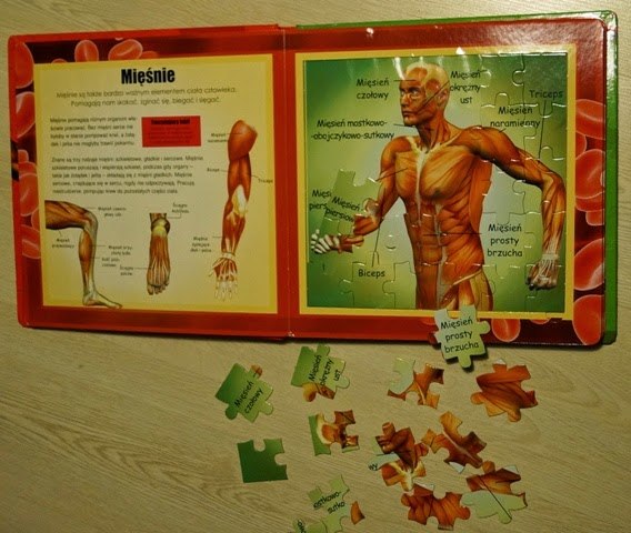 anatomia dla dziecia