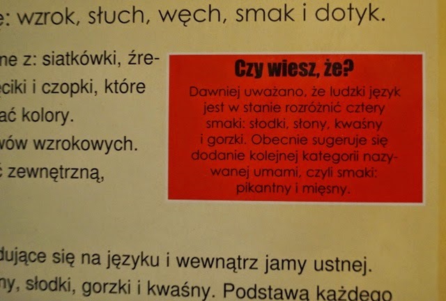 anatomia dla dziecia