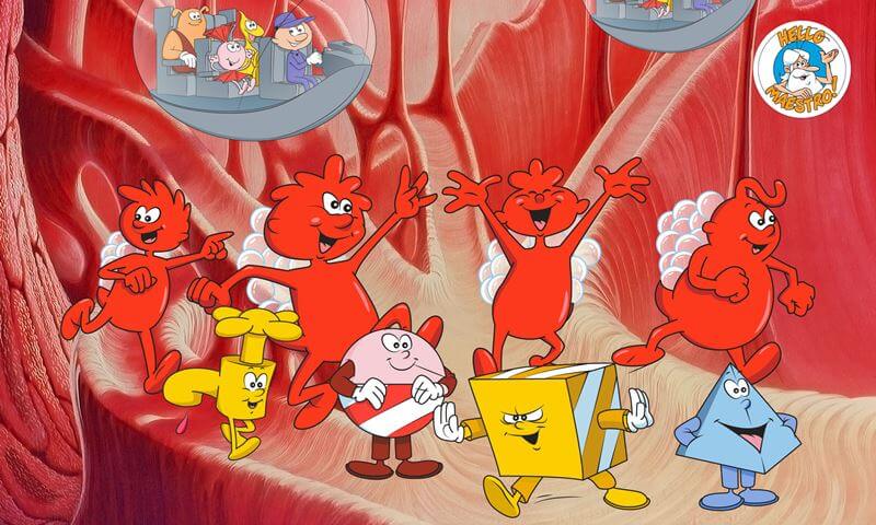 było sobie życie edukacyjne bajki dla dzieci