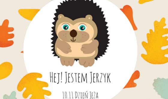 karta pracy z okazji dnia jeża