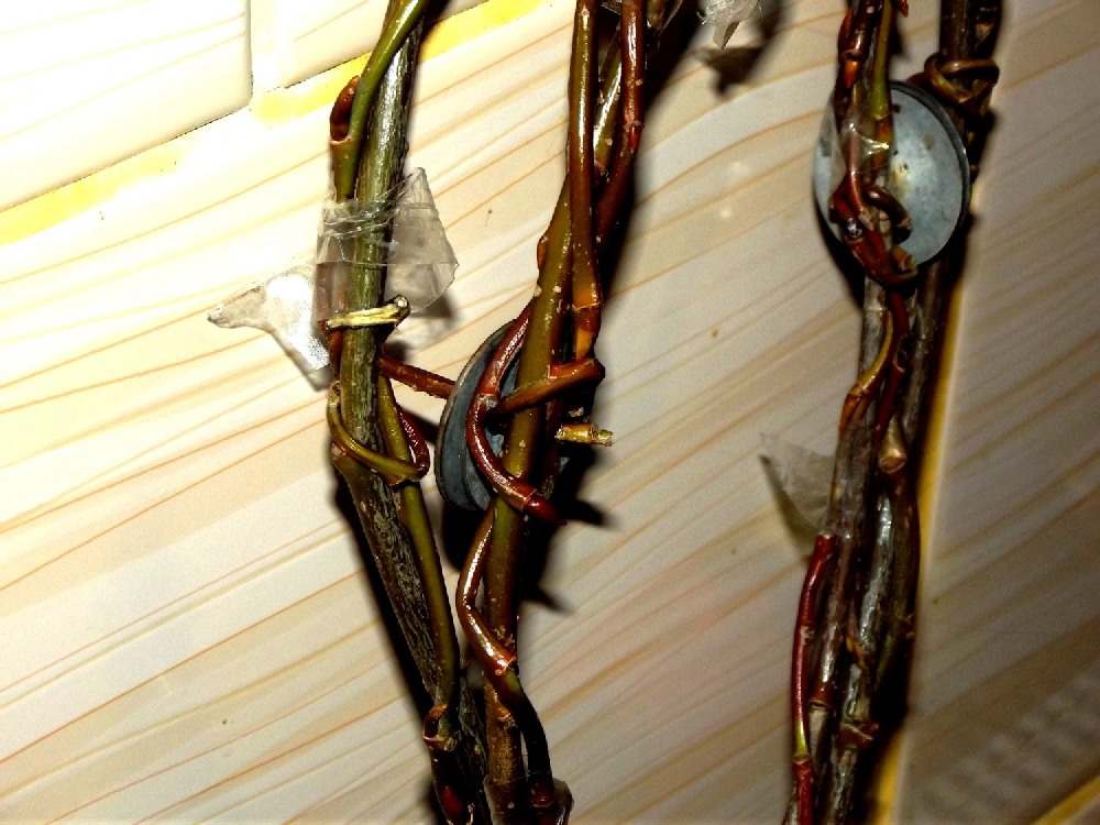 instrumenty afrykańskie