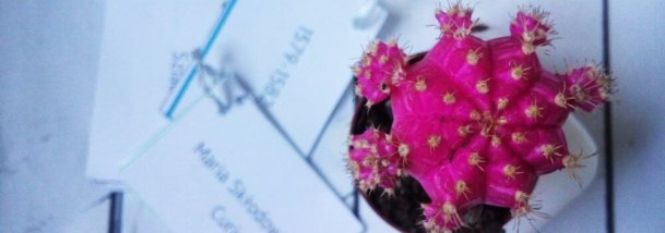 fiszki z XVII wiecznej historii