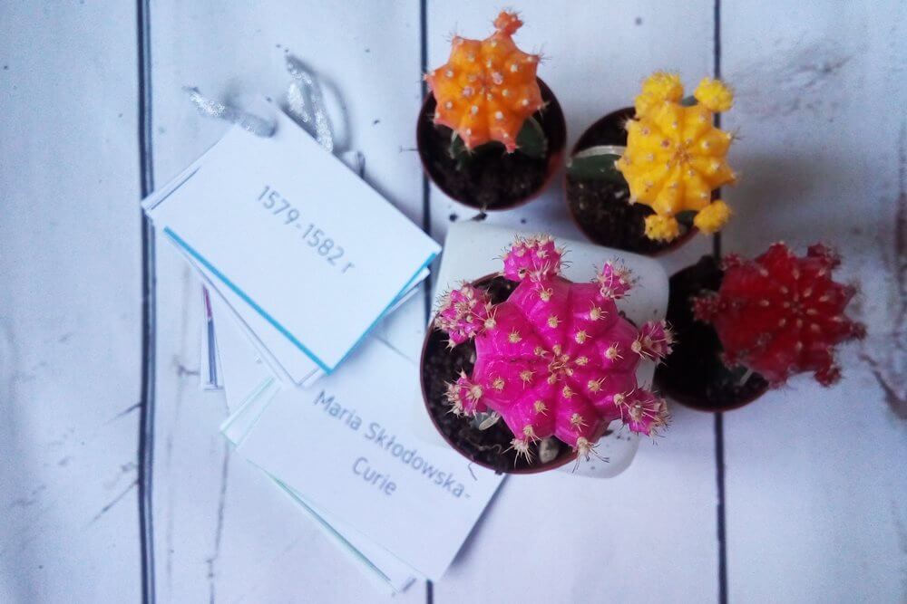 fiszki z XVII wiecznej historii