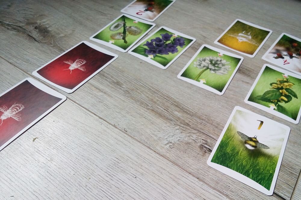 pszczoły gra edukacyjna