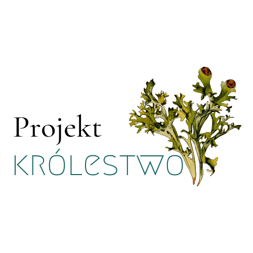 projekt królestwo
