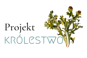 projekt królestwo