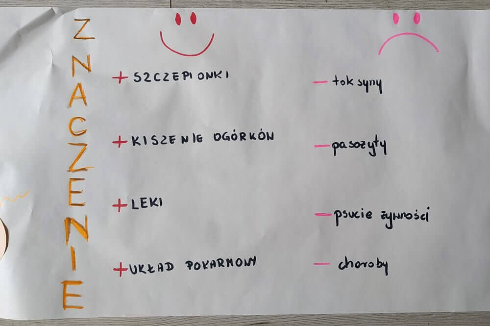 plakat komórka bakteryjna