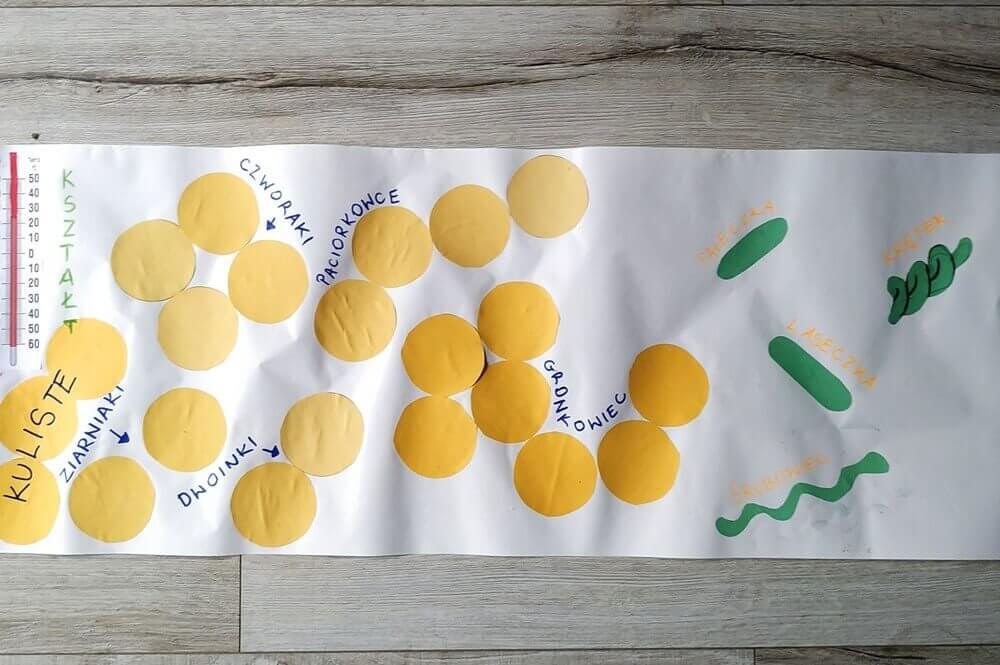 plakat komórka bakteryjna