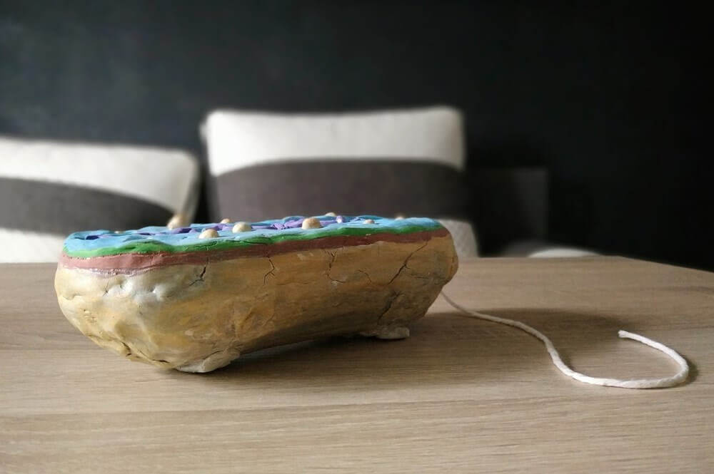 komórka bakteryjna z glinki