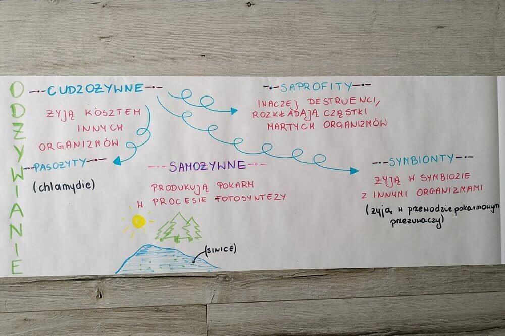 plakat komórka bakteryjna