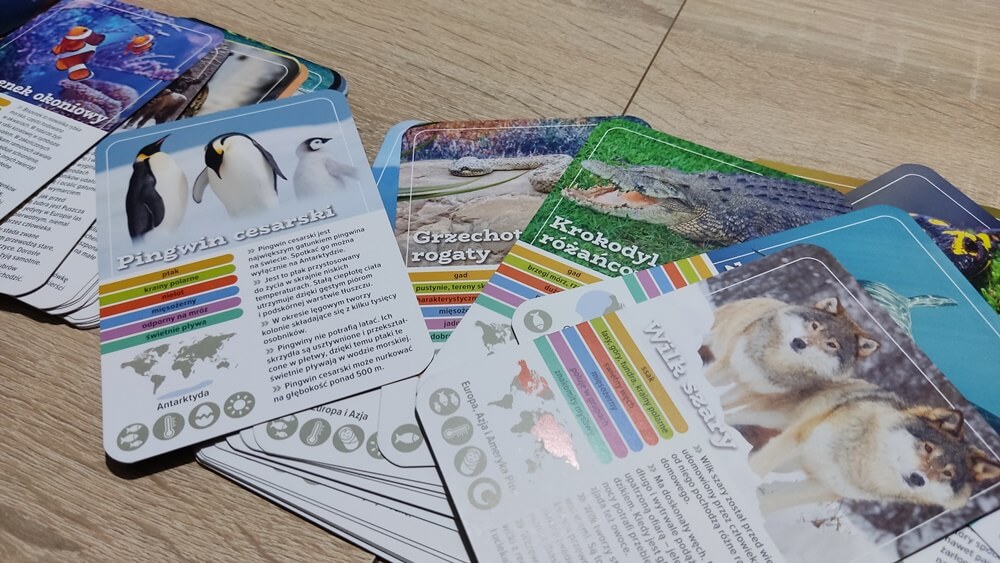 kto da więcej zwierzęta